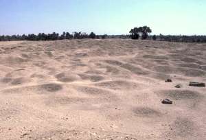 Trümmer des Labyrinths