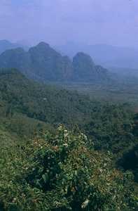 Khao Sok-Tal