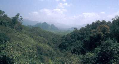 Panorama Khao Sok